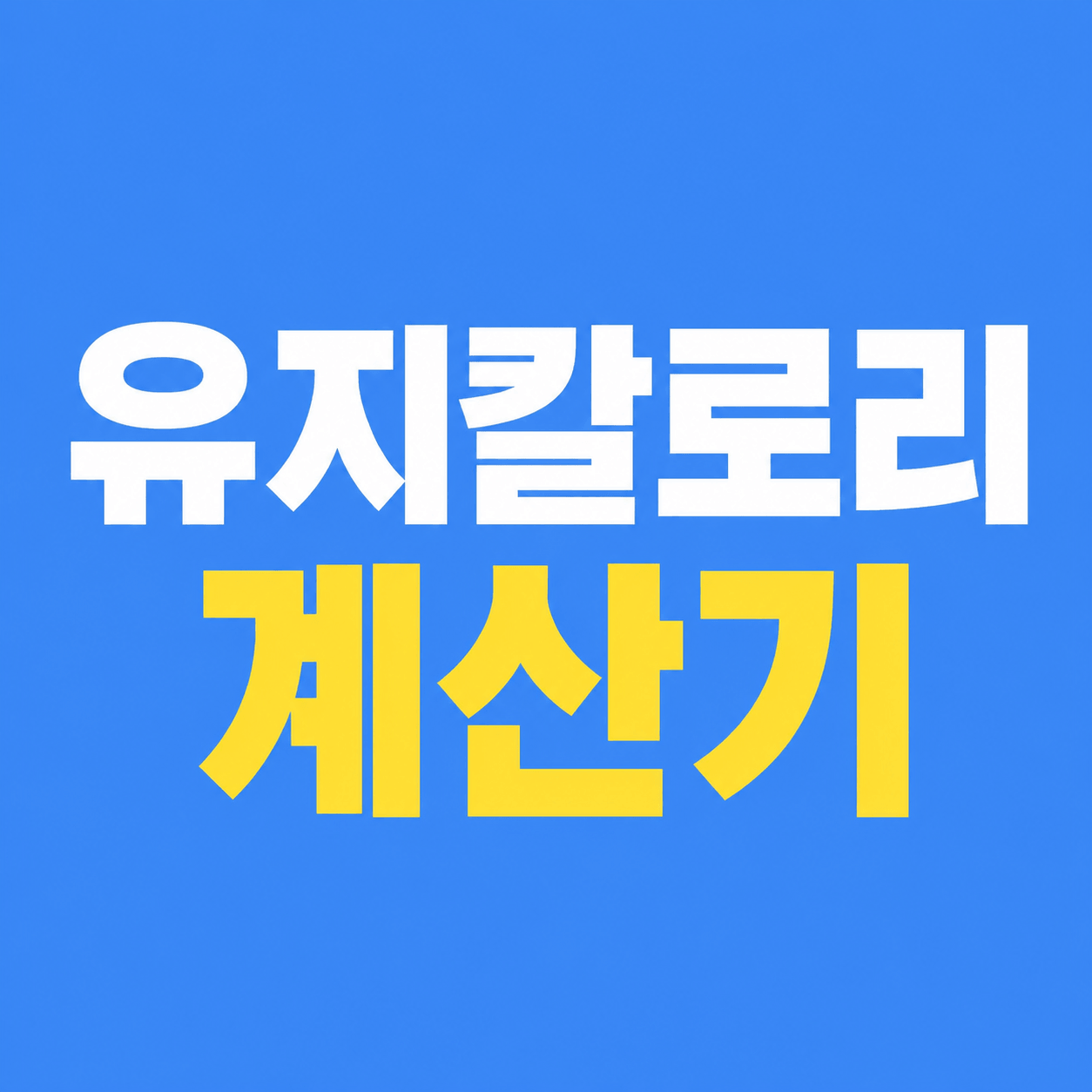 유지칼로리 계산기