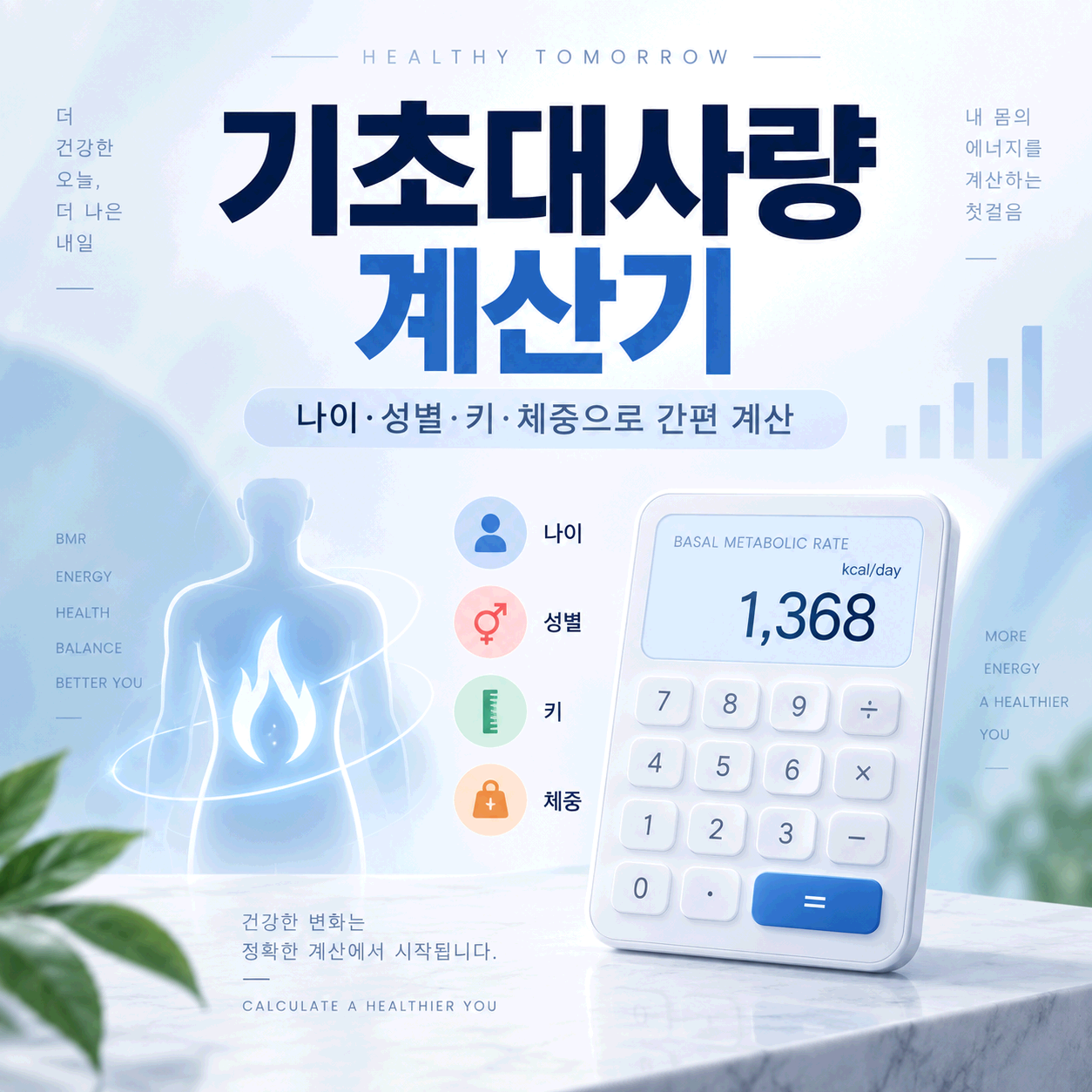 기초대사량 계산기